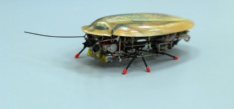 En Küçük Böcek Robot